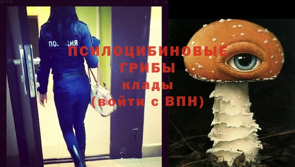 шишки Михайловск